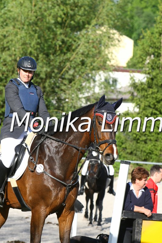 204M1828_Landinus_Stil Axx.JPG